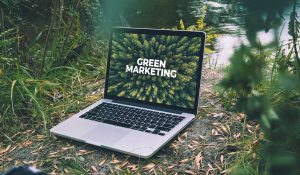 بازاریابی سبز (Green Marketing) چیست و چرا جهان امروز به آن نیاز دارد؟